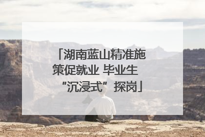 湖南蓝山精准施策促就业 毕业生“沉浸式”探岗