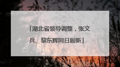 湖北省领导调整，张文兵、黎东辉同日履新