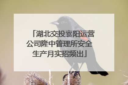 湖北交投襄阳运营公司隆中管理所安全生产月实招频出