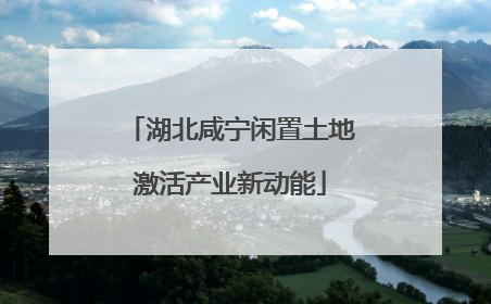 湖北咸宁闲置土地激活产业新动能