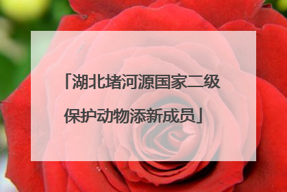 湖北堵河源国家二级保护动物添新成员