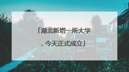 湖北新增一所大学，今天正式成立