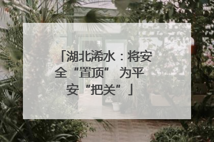 湖北浠水：将安全“置顶” 为平安“把关”