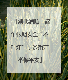 湖北消防：端午假期安全“不打烊”，多措并举保平安
