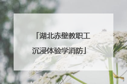湖北赤壁教职工沉浸体验学消防