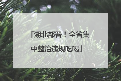 湖北部署！全省集中整治违规吃喝