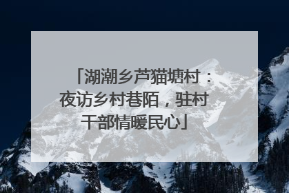 湖潮乡芦猫塘村：夜访乡村巷陌，驻村干部情暖民心