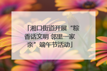 湘口街道开展“粽香话文明 邻里一家亲”端午节活动