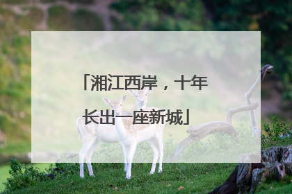 湘江西岸，十年长出一座新城