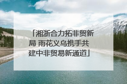 湘浙合力拓非贸新局 雨花义乌携手共建中非贸易新通道
