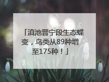 滇池晋宁段生态蝶变，鸟类从89种增至175种！