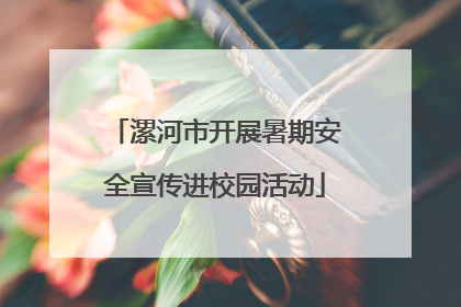 漯河市开展暑期安全宣传进校园活动