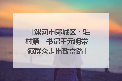漯河市郾城区：驻村第一书记王元明带领群众走出致富路