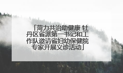 菏力共治助健康 牡丹区省派第一书记和工作队邀请省妇幼保健院专家开展义诊活动