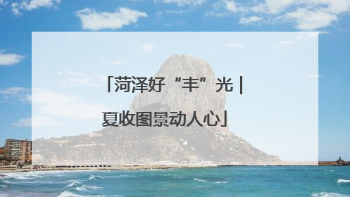 菏泽好“丰”光｜夏收图景动人心