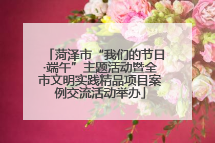 菏泽市“我们的节日·端午”主题活动暨全市文明实践精品项目案例交流活动举办