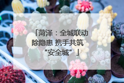 菏泽：全城联动除隐患 携手共筑“安全城”