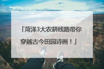 菏泽3大农耕线路带你穿越古今田园诗画！
