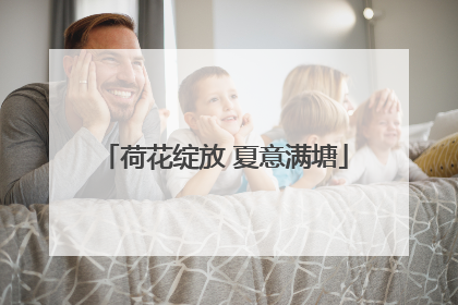 荷花绽放 夏意满塘