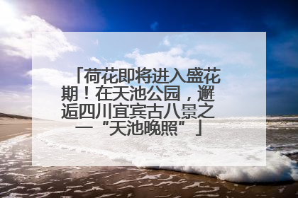 荷花即将进入盛花期！在天池公园，邂逅四川宜宾古八景之一“天池晚照”