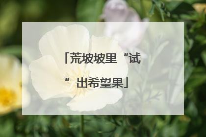荒坡坡里“试”出希望果