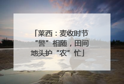 莱西：麦收时节“警”相随，田间地头护“农”忙
