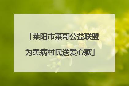 莱阳市菜哥公益联盟为患病村民送爱心款