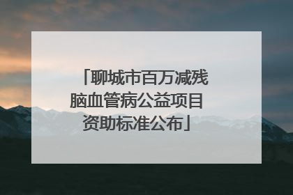 聊城市百万减残脑血管病公益项目资助标准公布