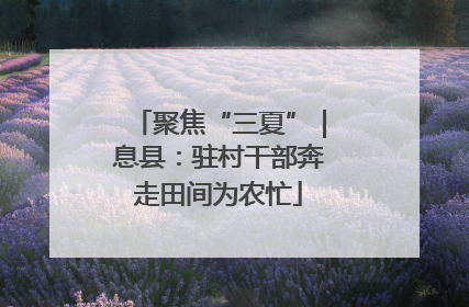聚焦“三夏”｜息县：驻村干部奔走田间为农忙