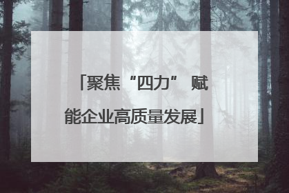 聚焦“四力” 赋能企业高质量发展
