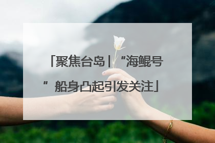 聚焦台岛│“海鲲号”船身凸起引发关注