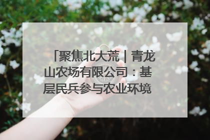 聚焦北大荒｜青龙山农场有限公司：基层民兵参与农业环境综合治理显效