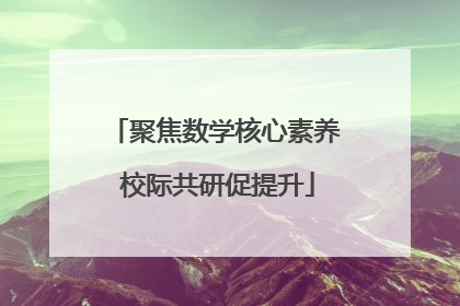 聚焦数学核心素养 校际共研促提升
