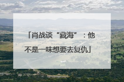 肖战谈“藏海”：他不是一味想要去复仇