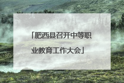 肥西县召开中等职业教育工作大会