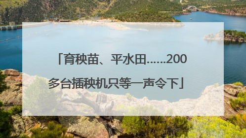 育秧苗、平水田……200多台插秧机只等一声令下