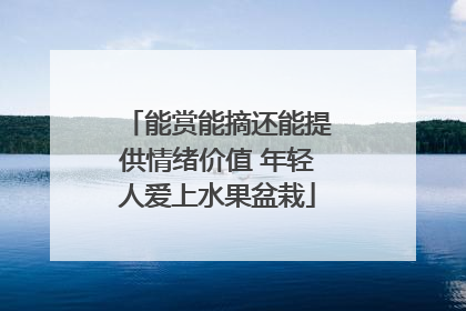 能赏能摘还能提供情绪价值 年轻人爱上水果盆栽