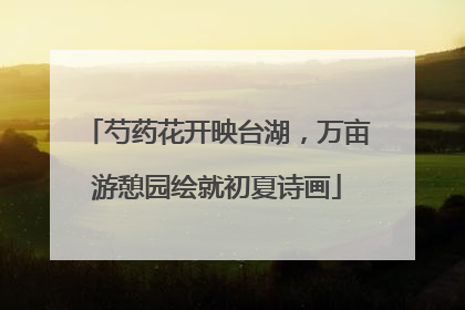 芍药花开映台湖，万亩游憩园绘就初夏诗画