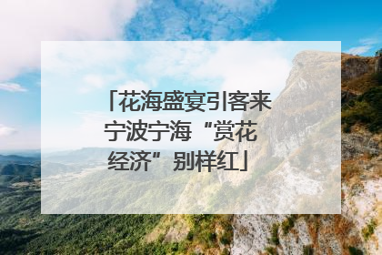 花海盛宴引客来 宁波宁海“赏花经济”别样红