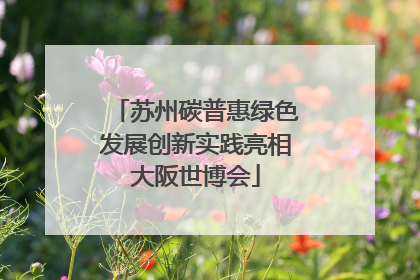 苏州碳普惠绿色发展创新实践亮相大阪世博会