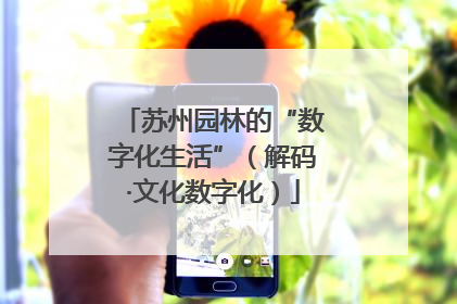 苏州园林的“数字化生活”（解码·文化数字化）