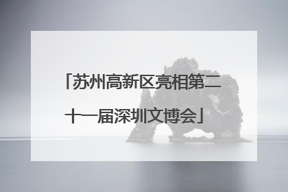 苏州高新区亮相第二十一届深圳文博会