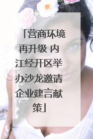 营商环境再升级 内江经开区举办沙龙邀请企业建言献策