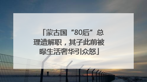 蒙古国“80后”总理遭解职，其子此前被曝生活奢华引众怒