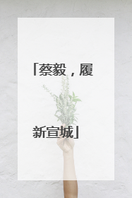 蔡毅，履新宣城