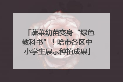 蔬菜幼苗变身“绿色教科书”！哈市各区中小学生展示种植成果