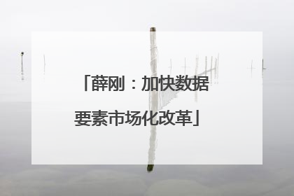 薛刚：加快数据要素市场化改革