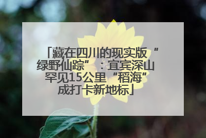 藏在四川的现实版“绿野仙踪”：宜宾深山罕见15公里“稻海”成打卡新地标
