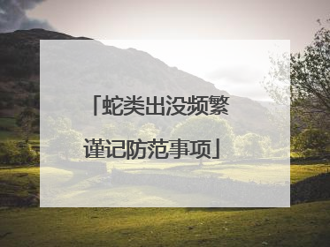 蛇类出没频繁 谨记防范事项