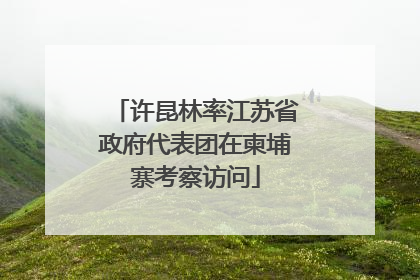 许昆林率江苏省政府代表团在柬埔寨考察访问